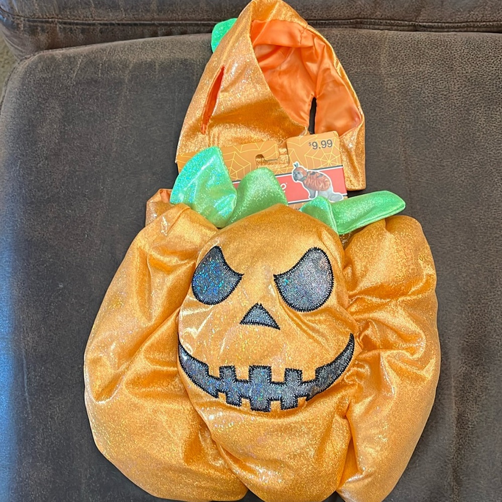 HP 🥳 Pumpkin pet costume size small